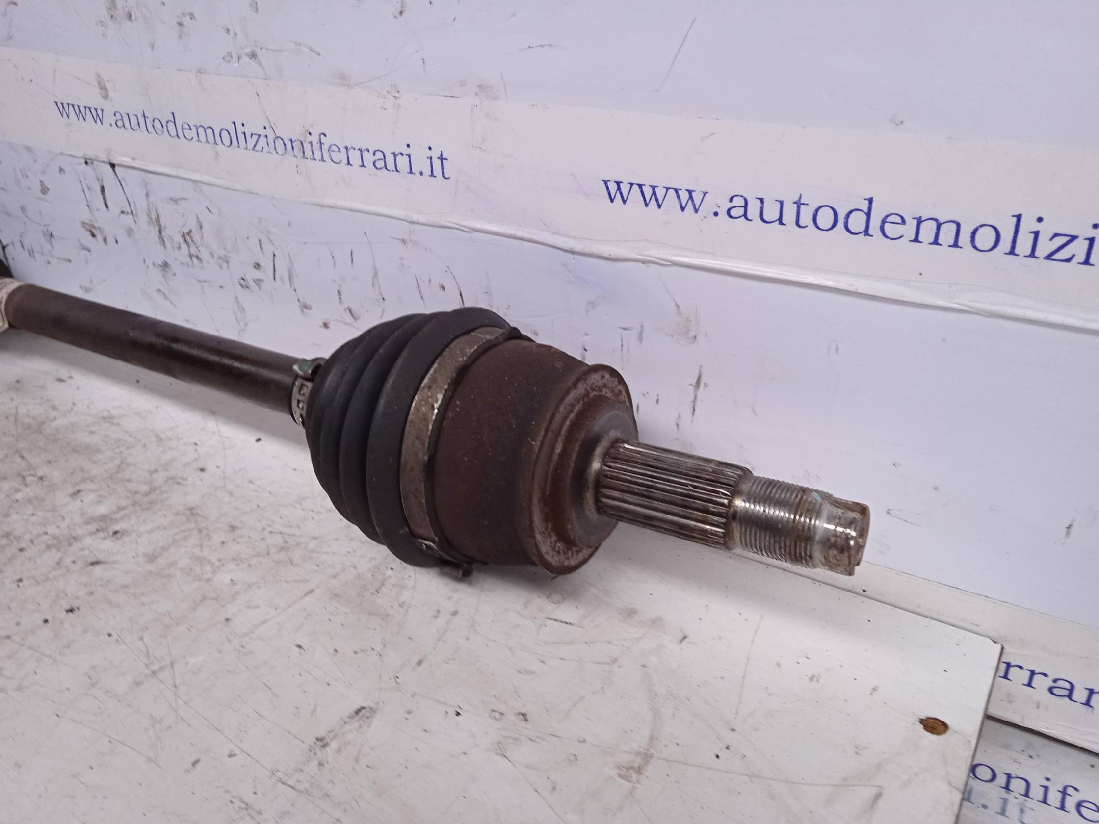 Semialbero ant. compl. sx.